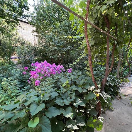 Lovely Home 奥什 外观 照片