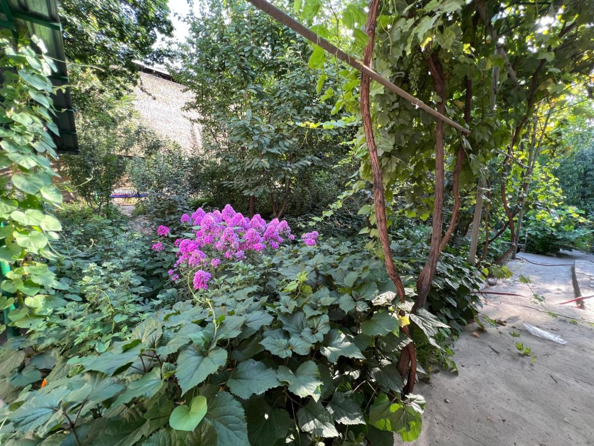Lovely Home 奥什 外观 照片